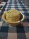 How To Make Molded Chicken Salad