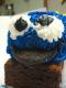 How To Make Monster Cookies