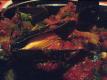 Moules Provencales