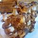 How To Make Mushroom Logs