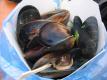 How To Make Herbed Mussels In Wine