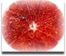 How To Make Grapefruit-orange Compote