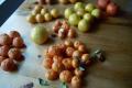 How To Make Orange Grapefruit Marmalade