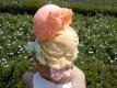 How To Make Orange Sherbet Soda