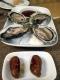 Oyster Sausages