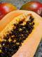 How To Make Papaya Treats