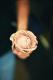 How To Make Parisienne Cream