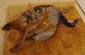 How To Make Braised Partridge Or Pigeon