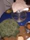 Party Bread Pot Fondue