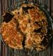 How To Make Peanut Brittle Cake