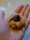 Peanut Butter Kiss Cookies