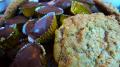 Peanut Butter Oatmeal Cookies