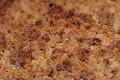How To Make Stuffed Pear Crumble