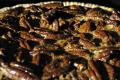 Pecan Crust
