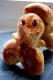 How To Make Petits Brioches