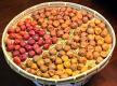 How To Make Pickled Fruits