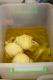 How To Make Pickled Mustard Cabbage