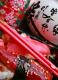 How To Make Pink Party Mold