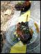 How To Make Plum Glazed Spareribs