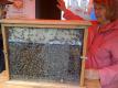 How To Make Queen Bees Cookies