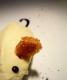 How To Make Chicken Quenelles