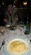 How To Make Quenelles