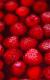 How To Make Raspberry Jello