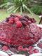 How To Make Raspberry Pudding
