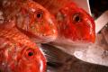 How To Make Orange Flavoured Red Mullet