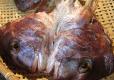 How To Make Sea Bream In Red Sauce