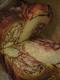 How To Make Rich Batter Bread