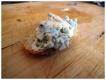 How To Make Roasted Garlic Dip