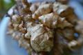 How To Make Roasted Jerusalem Artichokes