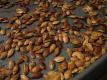 Roasted Pumpkin Seeds