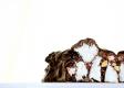 How To Make Rocky Road Chocolate Bars