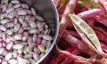 Romano Beans