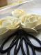 How To Make Rose Fruits