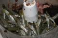 How To Make Court Bouillon For Salt Water Fish