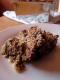 How To Make Savory Meatloaf
