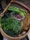 Shoulder Chops And Scallions