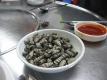 How To Make Sea Shell Appetizers