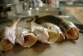 Sea Trout With Grapes