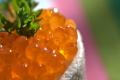 How To Make Seafood Appetizers