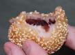 Sesame Fingers