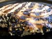 How To Make Sesame Steak