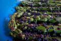 How To Make Cheddar Sesame Garden Vegetables