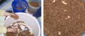 How To Make Sfouf