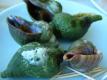Shellfish