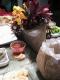 Shrimp & Flower Vegetable
