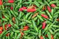 Simple Chili